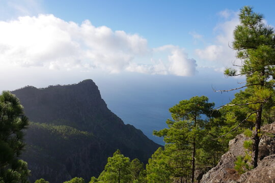 Blick vom Monte Tamadaba bei Agaete zum Kap Roque Faneque auf Gran Canaria