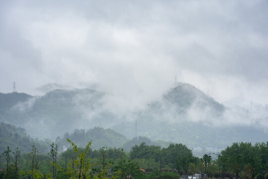 Misty mountains with lush green trees and layered forest landscape in humid natural setting