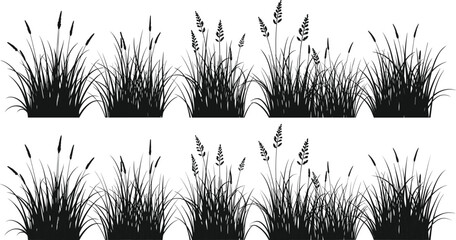 Wild grass silhouette border collection set with meadow plants for landscaping design, garden decoration and natural vegetation illustration © Hello World