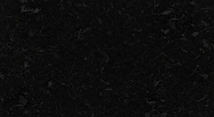 Fototapeta premium A dark, textured surface dominates the image. The surface appears rough and uneven, resembling stone or concrete.