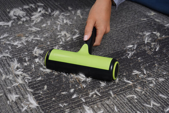 Close up of woman using a reusable lint roller to remove white pet fur from gray carpet, cleaning pet hair and dander from home flooring