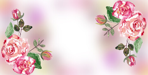 Banner con rose e boccioli su sfondo sfumato, illustrazione ad acquerello con spazio per testo © sommaria