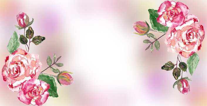 Banner con rose e boccioli su sfondo sfumato, illustrazione ad acquerello con spazio per testo
