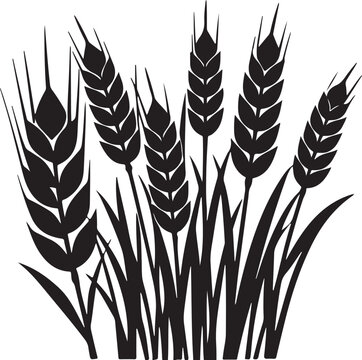 Agricultural cereal crops including wheat oats and barley silhouette vector.