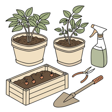 Collection of gardening elements including potted indoor plants a wooden planter box with bulbs essential maintenance tools like pruners and a trowel gardening planting
