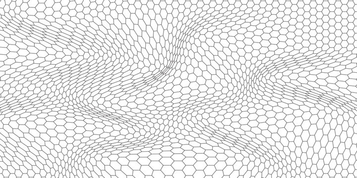 Fishing or soccer net. Repeated hexagon pattern. Black wired mesh texture isolated on white background. eps.10