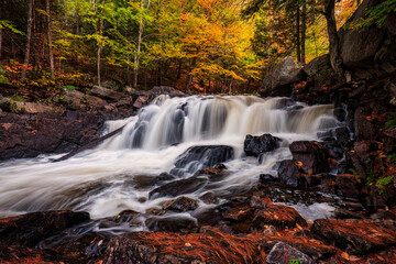 Waterfall in the forest © Robert