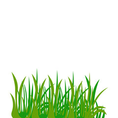Fototapeta premium Nature Grass Decoration