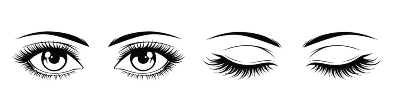 Elegant female eyes illustration set featuring detailed eyelashes and eyebrows design for beauty fashion concepts and cosmetic makeup salon promotional materials on transparent background grid.