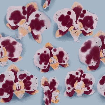 Patr&oacute;n continuo de orqu&iacute;deas phalaenopsis en ilustraci&oacute;n bot&aacute;nica