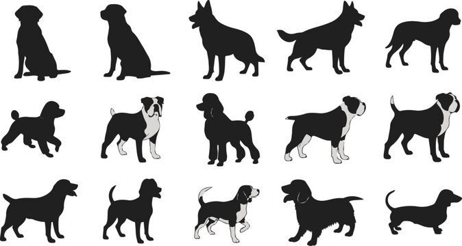 Dog Silhouettes, Black Dog Icons, Canine Vector Set, Pet Illustrations