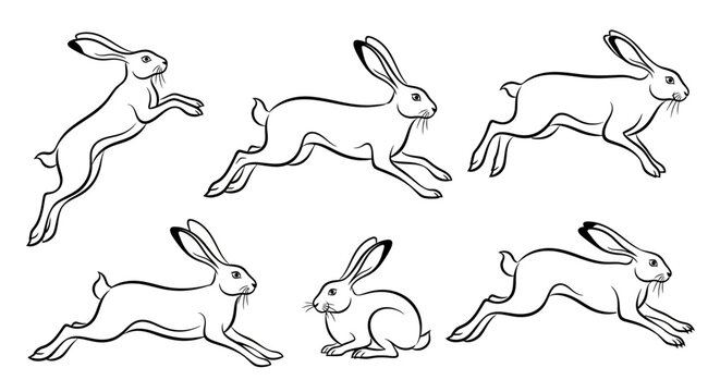 Rabbit sketches, set of hand-drawn hares in various jumping poses