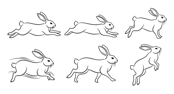 Rabbit running cycle, hand-drawn vector animation frames for character design