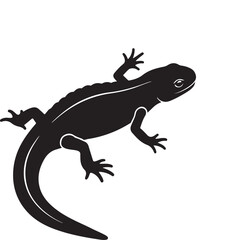 Obraz premium Small green lizard or gecko reptile isolated on white background with a long brown tail and macro details of its wild nature