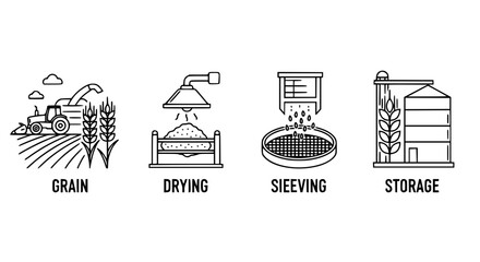 Agricultural grain processing workflow icons featuring harvesting with tractor drying sieving and silo storage stages in minimalist thin line vector style for farming industry. © Sujon Shah