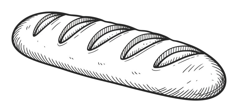 Hand-drawn of a crusty loaf of bread with scoring marks