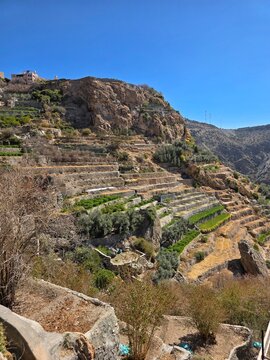 green terraces in Oman 