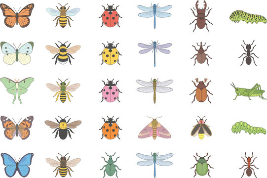 Assortment of garden insects icons in a flat design style