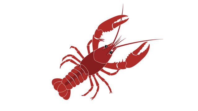 Detailed red lobster illustration shows its large claws, long antennae, and segmented shell against a plain white background for menus.