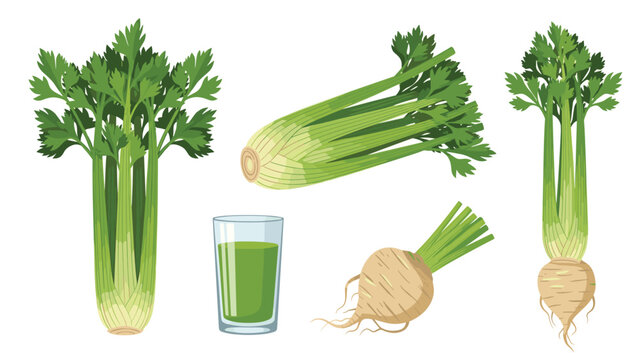 Fresh celery stalks with leaves, a glass of green juice, and celery root isolated on a white background for healthy diet promotion.