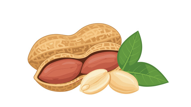 Group of roasted peanuts in shells with some open kernels and green leaves isolated on a white background for food industry use.