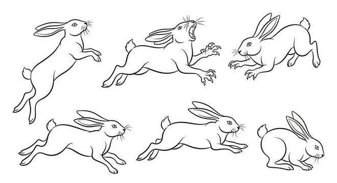 Rabbit set, hand-drawn sketch of jumping and running bunnies