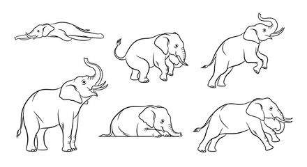 Fototapeta premium Elephant line art set, diverse poses of wild African animals