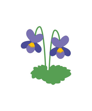 Violets Flat Vector Illustration