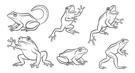 Fototapeta premium Frog sketches, set of hand-drawn amphibian illustrations in black ink
