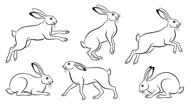 Rabbit set, hand drawn sketch collection of jumping and sitting hares