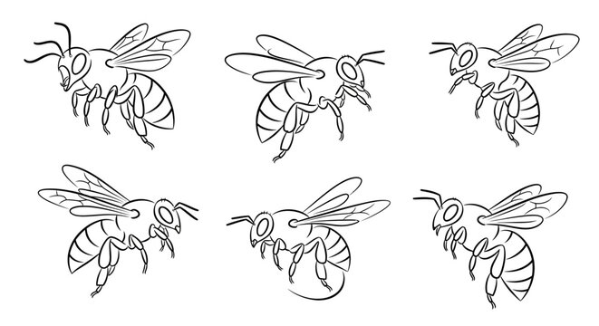 Bee sketches, set of hand-drawn flying honey bees for design