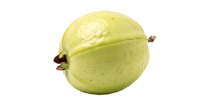 Fresh green guava fruit isolated on transparent background