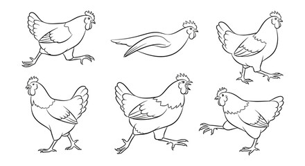 Fototapeta premium Chicken set, hand drawn line art illustration of farm birds