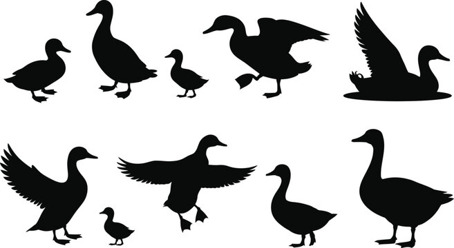 Collection of black duck and goose silhouettes in various poses