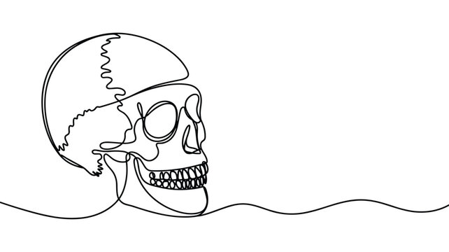Human skull side profile drawing in continuous one line art aesthetic.