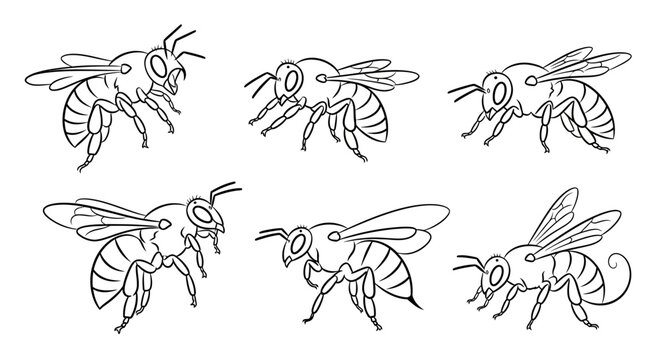 Bee sketches, set of hand-drawn honey bee illustrations for design
