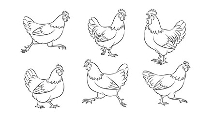 Obraz premium Chicken set, collection of hand drawn farm bird illustrations