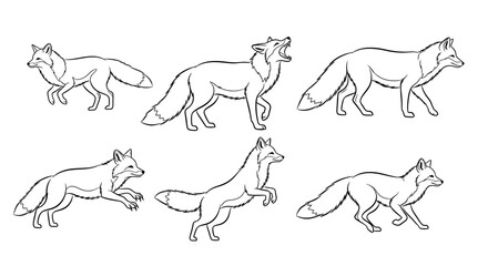 Fototapeta premium Foxes Sketches, Hand Drawn Line Art Animal Poses Set