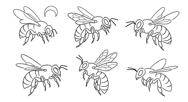Bee set, hand drawn line art illustration of flying honey bees