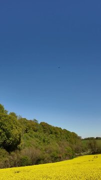 Micheldever Hampshire England UK. 19.04.2026. Video. A picturesque rural landscape featuring a vast expanse of blooming yellow rapeseed flowers stretching towards the horizon.