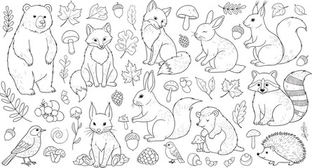 Obraz premium Hand Drawn Forest Animal Line Art Collection Featuring Bear Fox Squirrel Rabbit Raccoon and Hedgehog for Kids Coloring Books Nature Illustrations and Educational Activity Sheet Projects