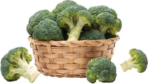 Fresh green broccoli florets in a small wooden basket isolated on transparent background
