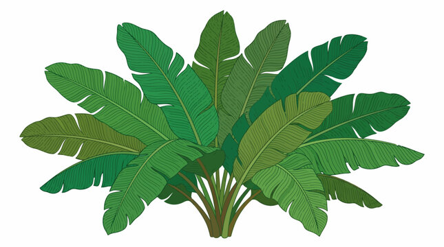 Green tropical palm tree leaves bunch.