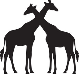 Fototapeta premium Drinking Giraffe Silhouettes Bending Down Flat