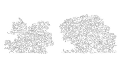 Abstract forms of stylized trees with intricate details on a grid background. © Sara Studio