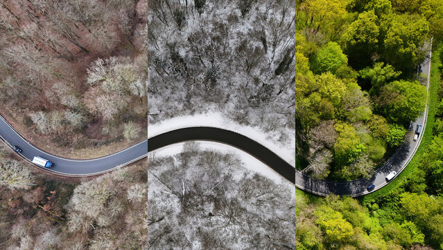 Aerial View of Forest Road Across Four Seasons