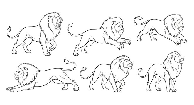 Lion set, hand-drawn sketch collection of wild cats in action