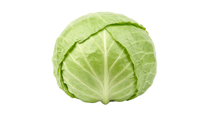 Obraz premium cabbage isolated on transparent background