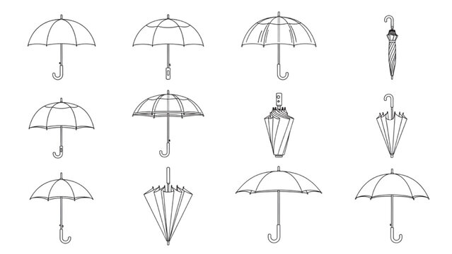 Collection of Umbrellas in Various Styles and Configurations