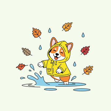 Happy Corgi Dog in Raincoat Splashing in Autumn Puddle